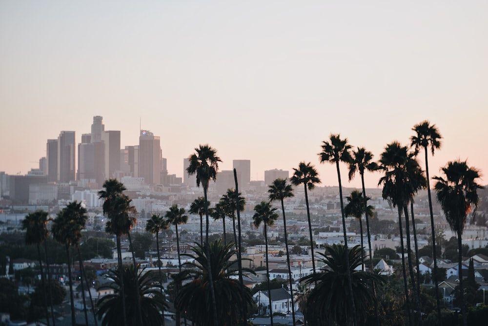 Control de rentas y reglas de desalojo en California